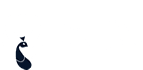 BJillion Ventures