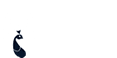 BJillion Ventures Logo